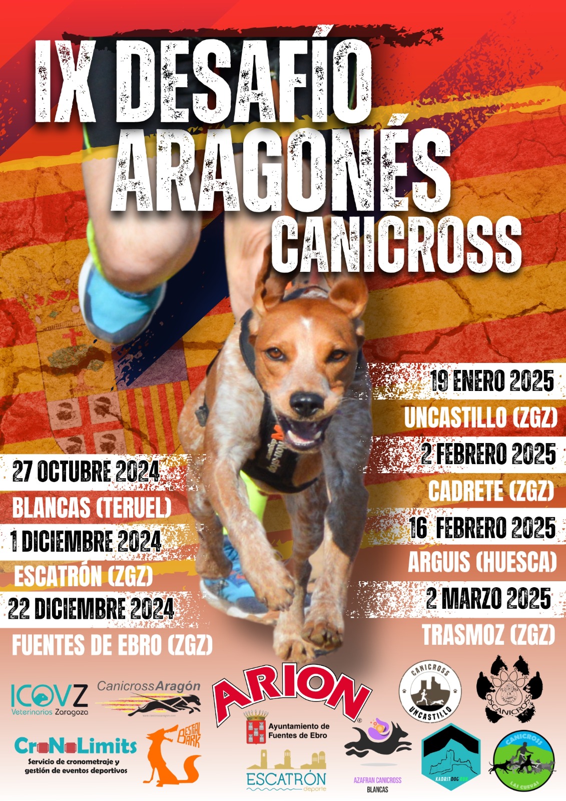 servicio de cronometraje y gestión de eventos deportivos